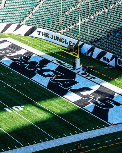 These end zones 👀🔥 #TNFonPrime 