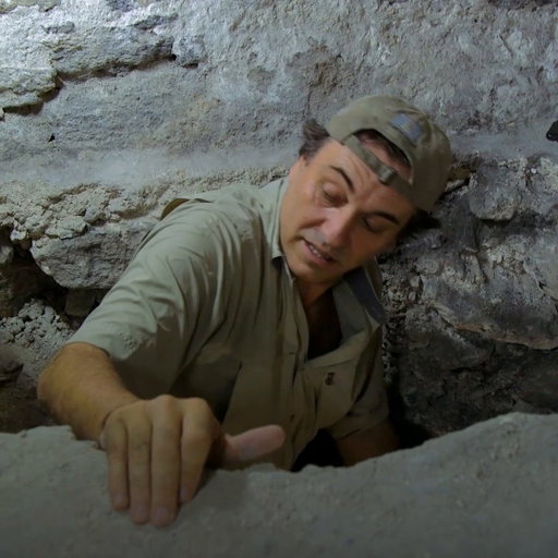 Hidden for over a thousand years, this newly-discovered pot is a priceless treasure—not just for its beauty, but also for the insights it offers into the customs of the ancient Maya. 

#LostTreasuresOfTheMaya is now streaming on @DisneyPlus. 