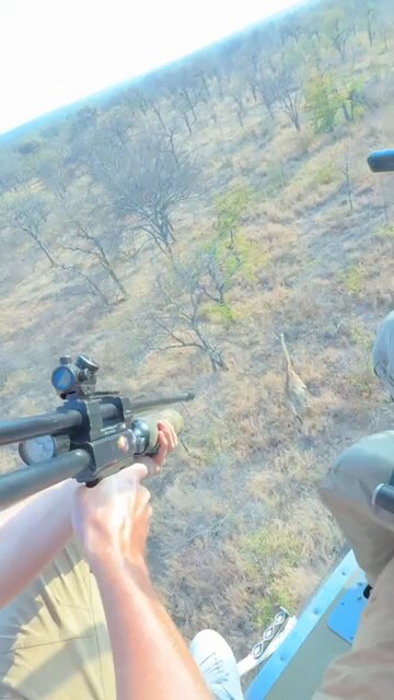 How we delivered life saving medicine to 70 giraffes in the wild, was weirdly fun lol 
