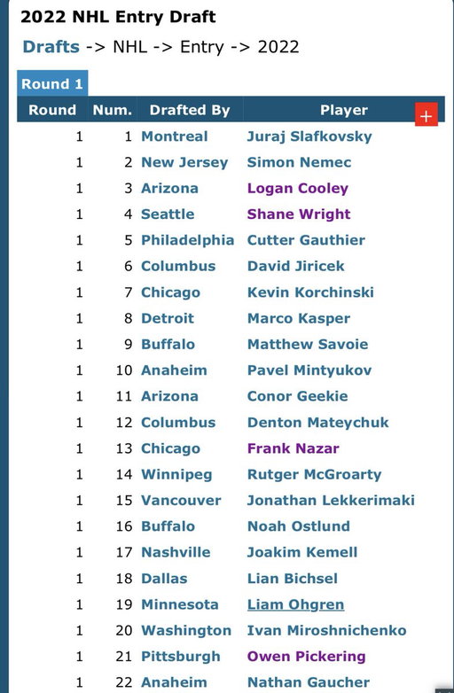 Looking back at the 2022 NHL Draft… 

Who are you taking first overall in a re-draft? 