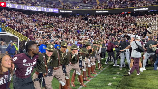 Baton Rouge has fallen. 