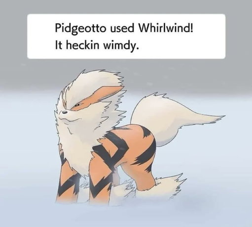 Heckin windy here🤣 
