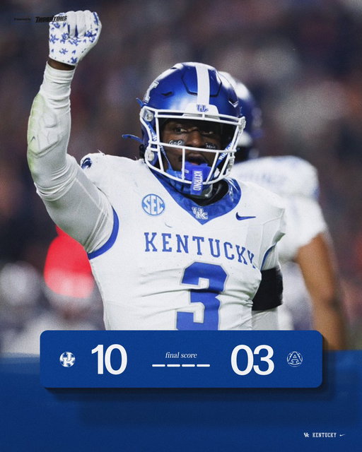 Cats Win 😸 