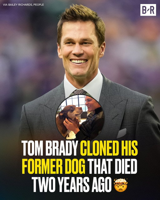 Tom Brady revealed that his current dog Junie is a clone of his late dog Lua, who died in December 2023, per @baileykrich 🤯

The dogs were cloned by Colossal Biosciences, a biotech company that Brady is an investor in, using blood collected prior to Lua's death 