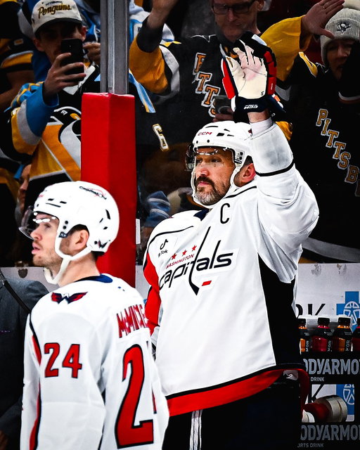 🫡 @penguins 