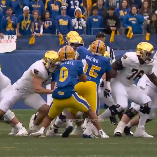 Jeremiyah Love 25 CAR, 167 YDS, 1 TD vs PITT Today.

Best RB in CFB? 