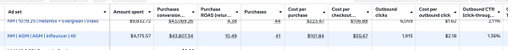 A recent client win: 10X ROAS on whitelisting ads

INSANE 