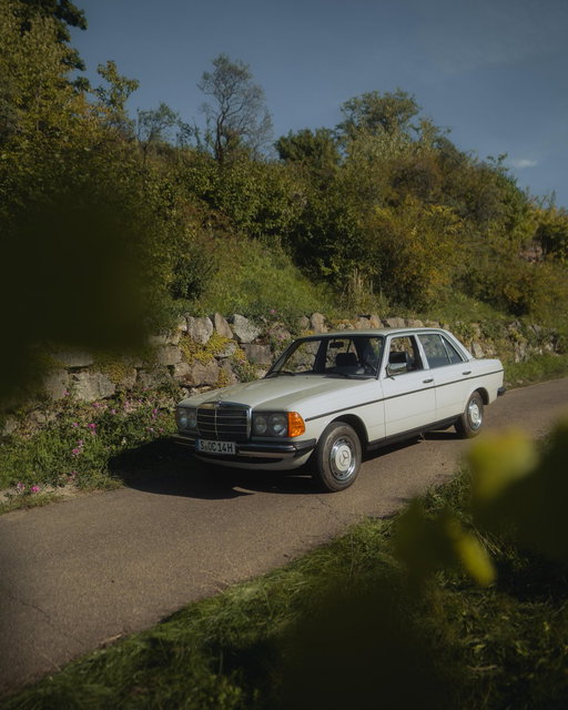 The #W123 and vineyards = aesthetic overload. Can your feed handle it? 

📷 lenswatching (IG) for #MBcreator 

#MercedesBenz 