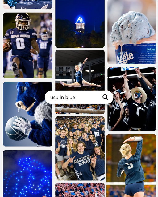 A winning color combo!

#gwaggies #utahstate #usuaggielife 