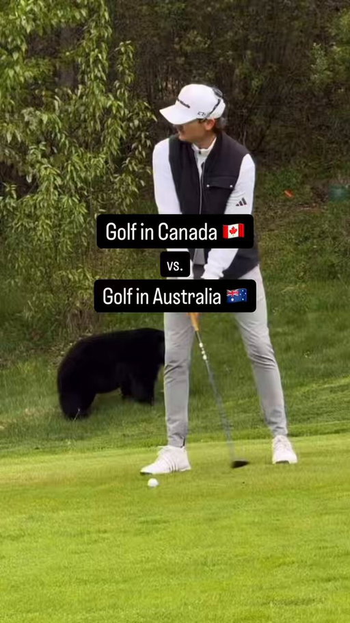 One will Kill yah 🐻 One will cuddle yah 🐨 - Canada VS Australia 🇨🇦🇦🇺 