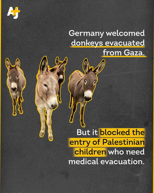 Germany has welcomed at least 8 donkeys evacuated from Gaza.

But it is delaying the entry of Palestinian children in need of medical evacuation. 