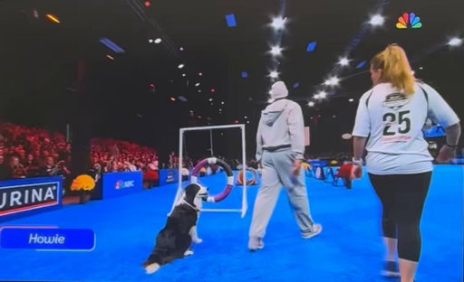 Tyrese Maxey just won the dog show 