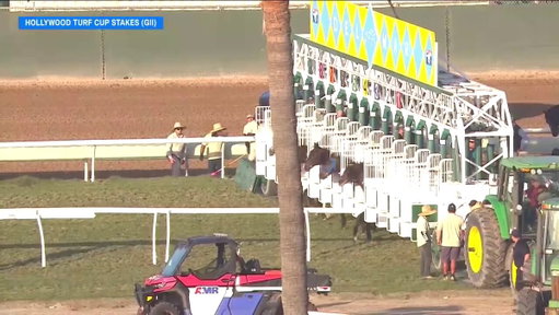 #7 TRULY QUALITY ($5.80) comes flying down the center of the track to win the $200,000 Hollywood Turf Cup (G2) at @DelMarRacing. The son of Quality Road (@LanesEndFarms) was ridden by @MircoDemuro1 and is trained by @ThomasStables. Augustin Stables owns. 