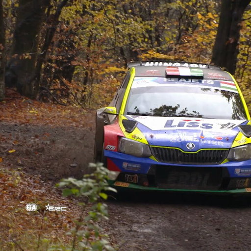 He wasn’t going any further 😳

#FIAERC 