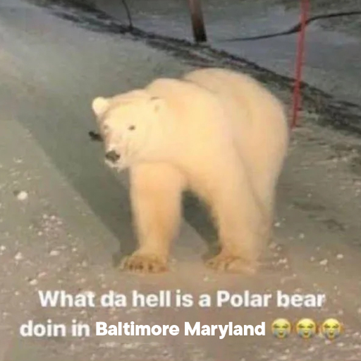 What da hell? 