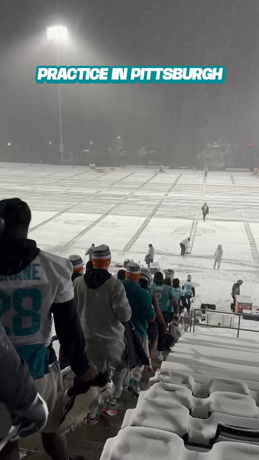 Practice up north 🐬 