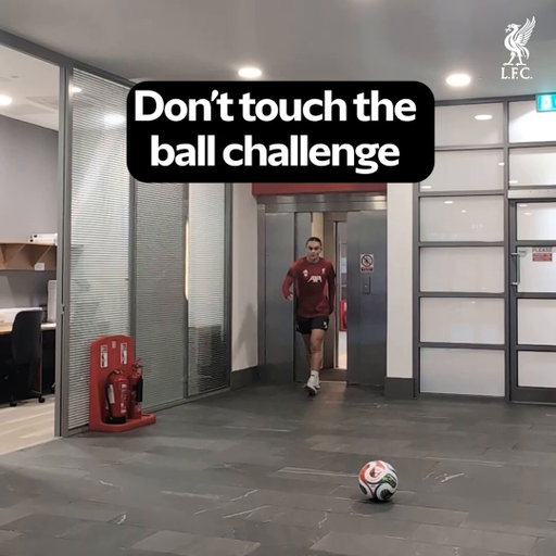 Don't touch the ball ✅❌ 
