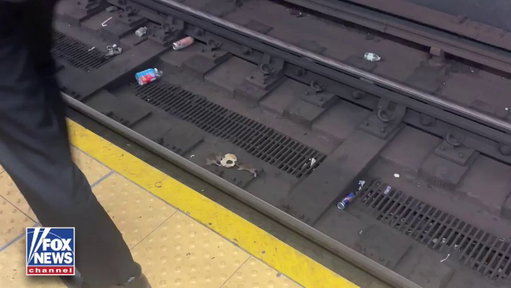 TUG-OF-WAR: Two rats engaged in a dramatic 3-minute battle over half a bagel at a New York City subway station. 
