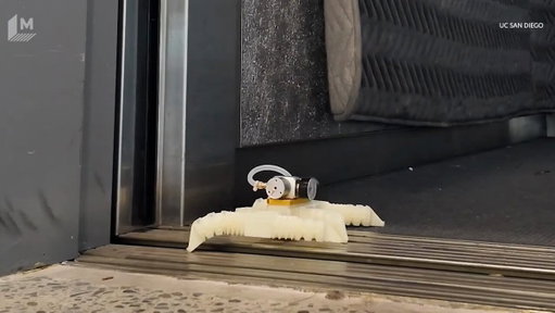 Meet the 3D-printed robot that walks without electronics 