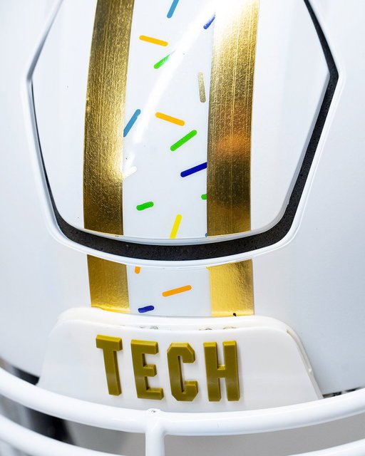Frosted. Sprinkled. Florida-bound.

#StingEm 🐝