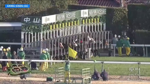 MUSEUM MILE wins the 2025 G1 Arima Kinen!

The sophomore son of Leontes rallied under Cristian Demuro. What a performance in Japan's final major race of the year! #ミュージアムマイル 