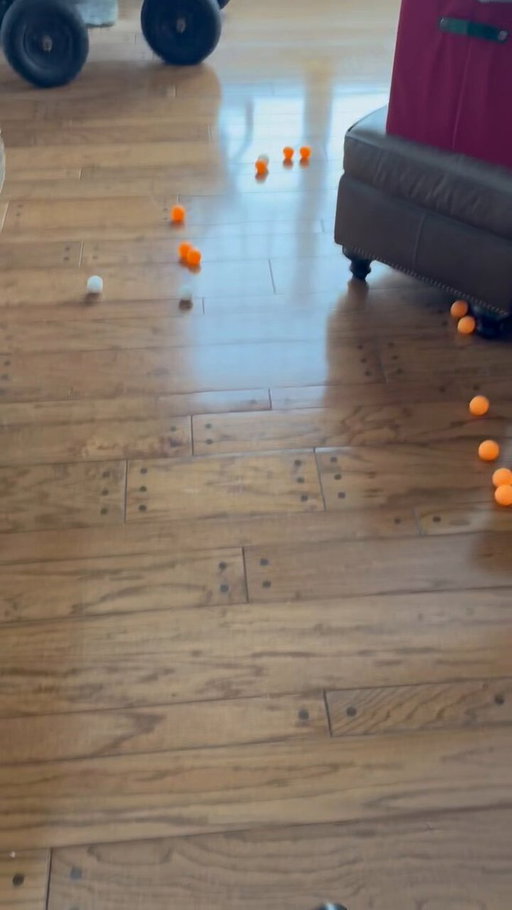 My brother invented a new game…..  @brandofferings 