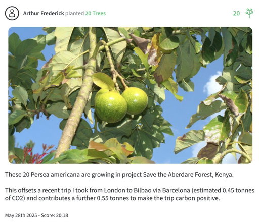 I can confirm the trees were planted - the certificate is public!

The 20 Persea americana are helping to restore the Aberdare Forest in Kenya, and the project has since expanded to include sustainable agriculture, clean cooking technologies, water harvesting, poverty reduction and other livelihood improvement activities for the upper Tana catchment community 🌲🇰🇪

Go trees!
