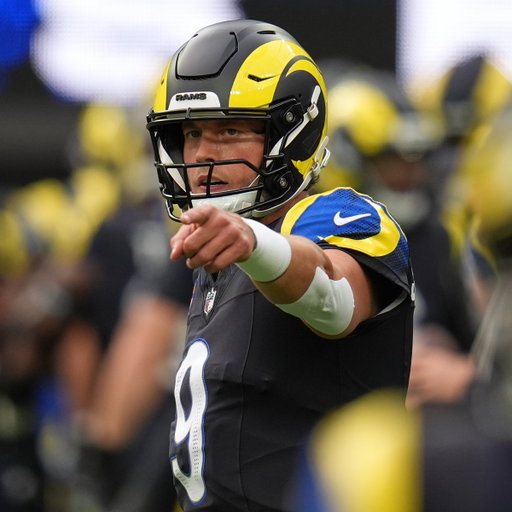 Super Bowl winning QB's remaining in the playoffs:

-Matthew Stafford 