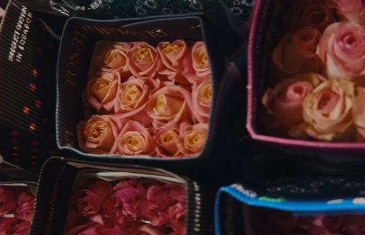 D Rose opens his family owned and operated flower shop for limited online drops 🌹

(🎥: @drose) 