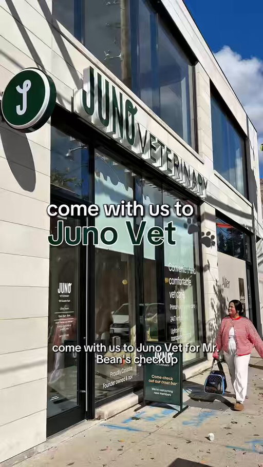 UGC example for the Pet Niche 🐈🐾✨

this was such a fun collab for Juno Vet and my baby Mr. Bean did such a great job, soo proud of him! 

Brands, if you're looking for a creator for your pet brand / store - let's connect! 🫶🏻

💌 helloaprilyu@gmail.com
.
.
#ugc #ugcopportunity 