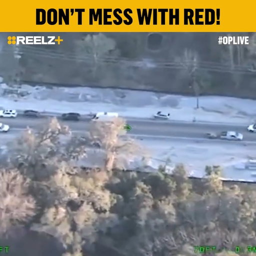 🐾 A dangerous high-speed chase in #VolusiaCounty came to a crashing end—literally. But it wasn’t over until K9 Red hit the street and showed this guy who really runs things. Let’s just say: Red doesn’t miss. 🚓💥 #OPLive #OPNation #REELZ 