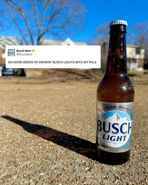 🚨 THE BUSCH LIGHT SAW ITS SHADOW 🚨 