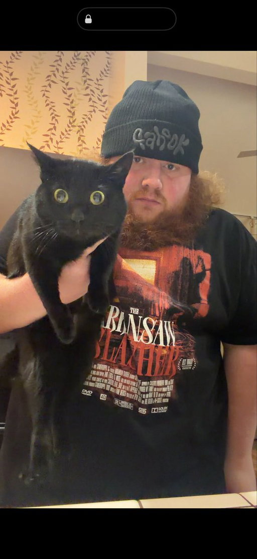 Kitty 