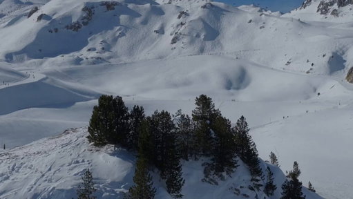 Scream débarque aussi sur les pistes. #Scream7 au cinéma le 25 février.
Merci Les Arcs pour l'accueil et Simon Beck pour son talent.
-
One man, 30 000 steps. Perfect conditions for carving. 🔪
@ParamountPics @ParamountScares @ScreamMovies #SimonBeck 