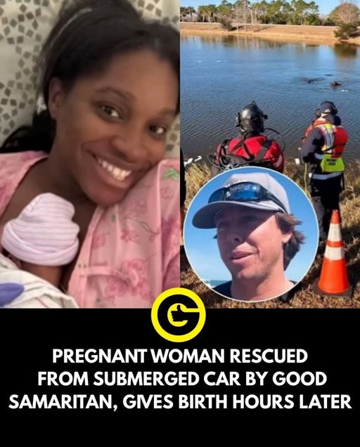 (FLORIDA) Shedly Appolon, who was about 8 months pregnant, began feeling dizzy while driving on the highway in Martin County, FL on her 29th birthday Jan 6. She lost control of her car, and it went into a pond. Water started rising inside and she couldn’t open the doors. A passerby Logan Hayes saw her and jumped right in opening the back door that was still above water to pull her out. and then realized she was pregnant while holding her afloat. She delivered the baby via cesarean section and mother and baby are healthy . Describing the moment Shedly saw Logan frlm under the water, "When he swung that door open, I was like, ‘OK, you are an angel."