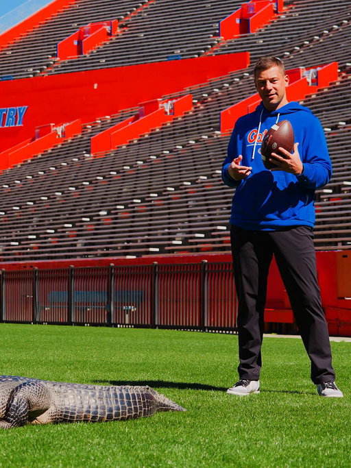 Just a couple gators 🐊 