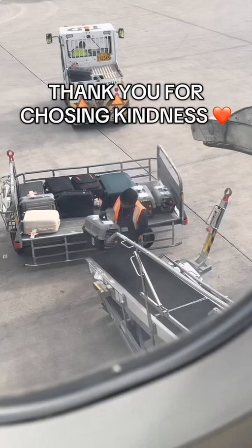 Protect this man at all costs. 🥰 🐕 🐈 These are rescue animals traveling to their forever homes 🏡 (mcqueen.rescues &amp; _chikitssss 👏) 