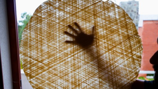 How the world's rarest pasta came back from near extinction 