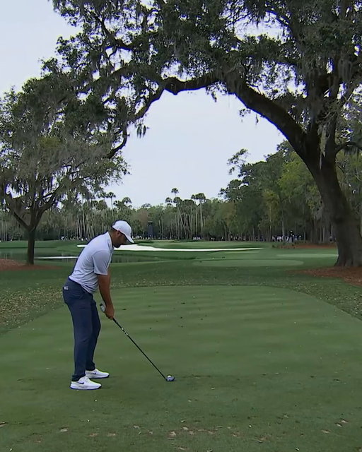 The tree on No. 6 almost got Scottie. 

Then Scottie got No. 6

#THEPLAYERS

