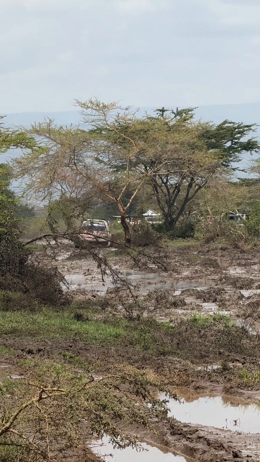 Look at the rear wheel 🤯

#WRC | #SafariRallyKenya 🇰🇪 
