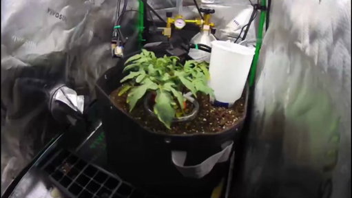 Anthropic’s Claude #AI #Autonomously Grows Tomatoes for 100+ Days in Groundbreaking Experiment
by @d33v33d0

#ArtificialIntelligence #MachineLearning #ML 