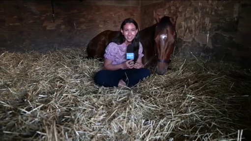 RENEGADE is getting his rest prior to the Arkansas Derby (G1) this Saturday. @Andie_Biancone sat with him in his stall while talking about her experience this morning galloping him over the track at @OaklawnRacing. 