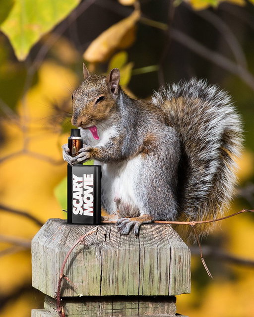 Even the squirrels are hitting it. #ScaryMovie in cinemas June 5. 