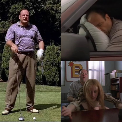 Tiger Woods’ life summed up 