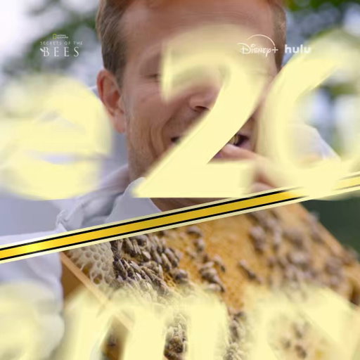 There are 20,000 known bee species, but which ones have the most buzz?

#SecretsOfTheBees premieres Tuesday, March 31 at 8/7c on National Geographic. Stream on @DisneyPlus and @hulu. 