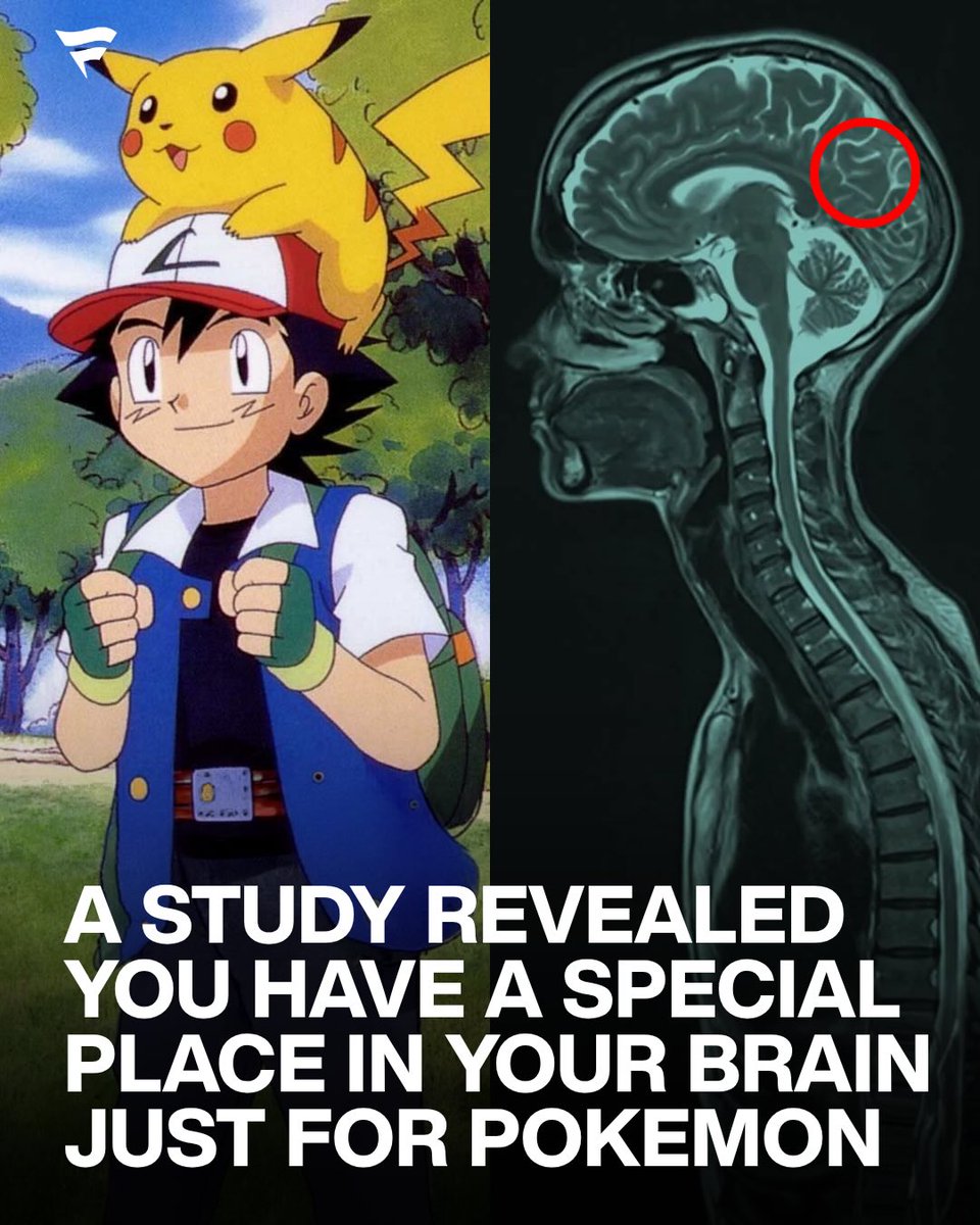 A Stanford study found that people who played Pokémon heavily as kids developed a small region of the brain that responds specifically to Pokémon characters.

Researchers scanned adults who grew up playing on Game Boy and showed them images of Pokémon like Pikachu and Bulbasaur. 

Their brains lit up in the same exact spot, a consistent area in the visual cortex tied to recognizing specific categories of objects.

The reason comes down to childhood. When you’re young, your brain is more flexible, and spending hours memorizing hundreds of similar-looking Pokémon essentially trained it to carve out space just for them.

(via @Stanford)
