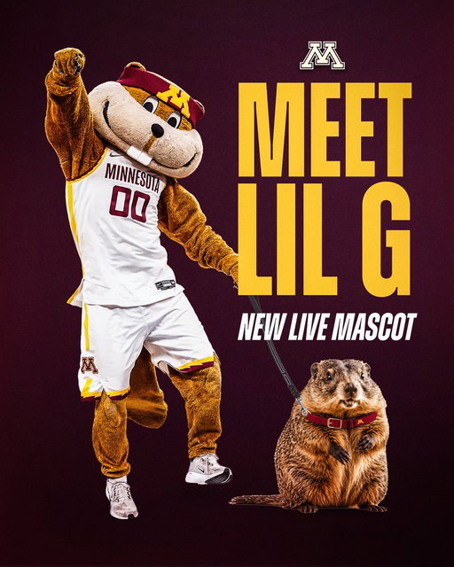 Welcome to Minnesota, Lil G! 〽️

Click the link to learn more about our new live mascot program.

📰: https://t.co/tjnIgPGr7P

#SkiUMah 