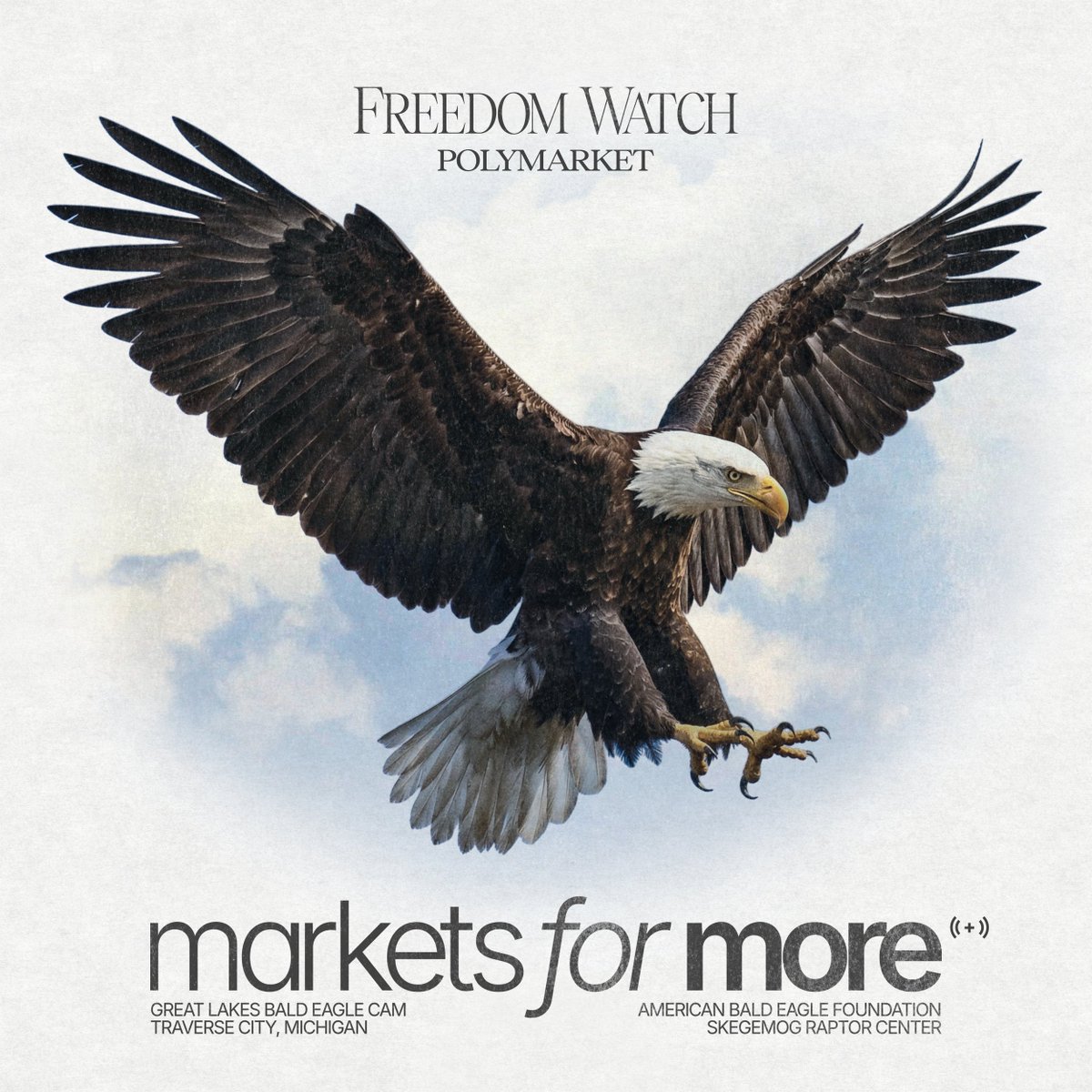 In celebration of America's 250th anniversary, we're launching Freedom Watch 🦅

Right now, two bald eagles named Harry &amp; Harriet are taking turns keeping three eggs warm — 200 feet up in a white pine on the shores of Lake Michigan. 