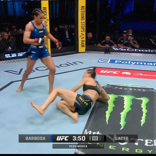 Woooow ‼️ Patada fulminante de Barbosa. Se necesitará revisión para determinar si fue golpe ilegal

#UFCVegas115 | Ver en vivo por @PPlusDeportes 