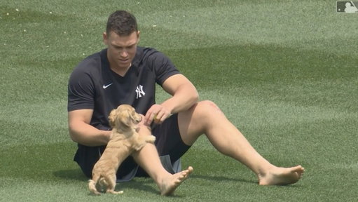 The size difference between Aaron Judge and his dog Gus 😂 
